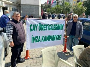 Trabzon' un Of İlçesinde Yaş çay için büyük protesto