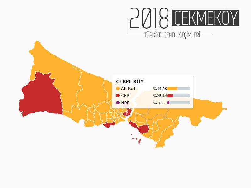 İŞTE İSTANBUL'UN 38 İLÇESİNDE PARTİLERİN ALDIĞI OY ORANLARI... 23