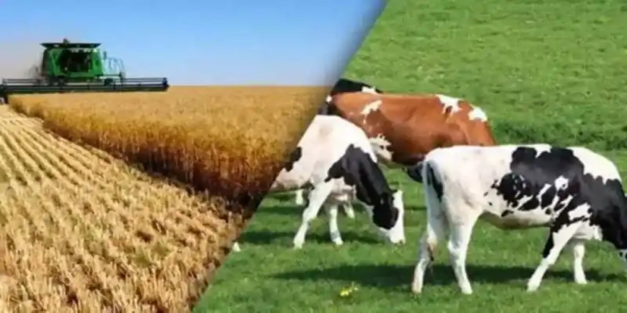 “Türkiye’de Köye Dönüş İçin Model Çiftlik Projesi”