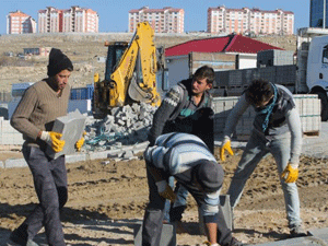 EDREMİT'TE REFÜJ ALANLARI AĞAÇLANDIRILDI