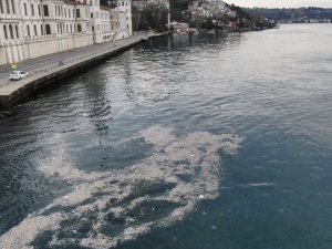 İSTANBUL BOĞAZI'NDA İLGİNÇ GÖTÜNTÜ!