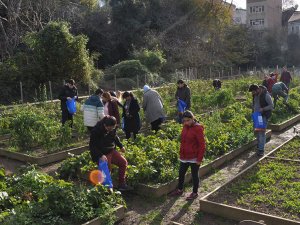 ÜSKÜDAR’DA NEFES ALDIRAN BİR BOSTAN