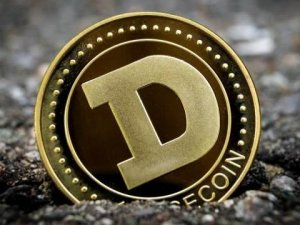 Dogecoin Mining mağdurları konuştu