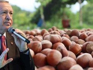 Karadeniz’de gözler Erdoğan’a çevrildi