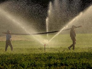 "Su Verimliliği Seferberliği" başlatılacak